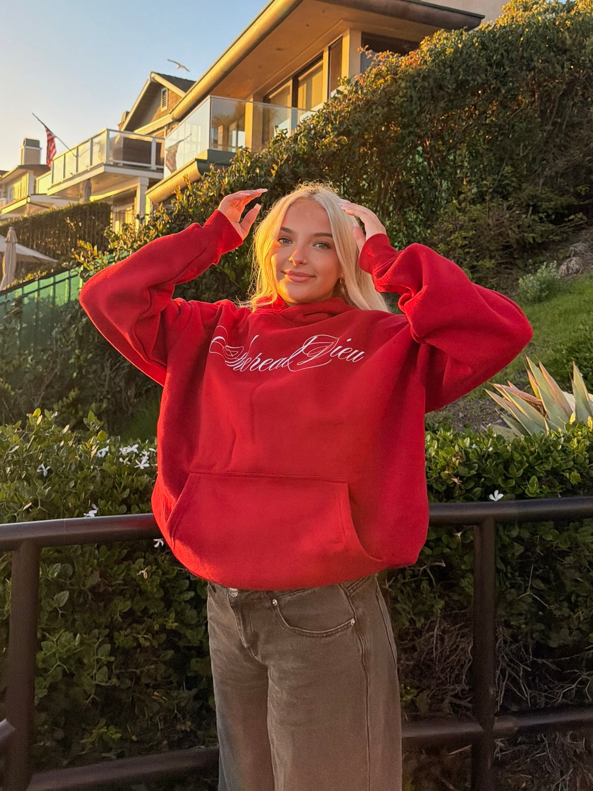 Hoodie collection